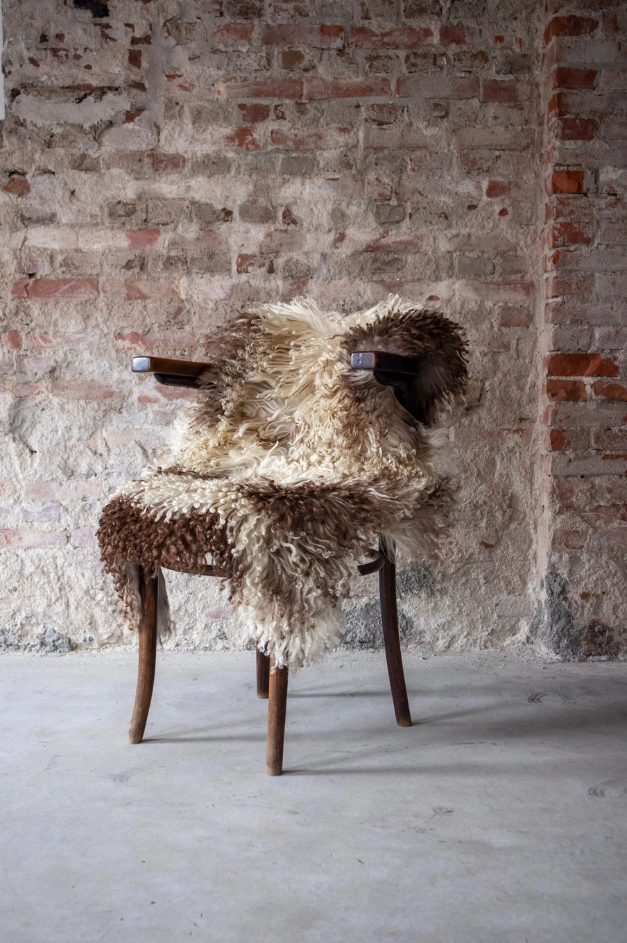 Curly Austrian Sheepskin