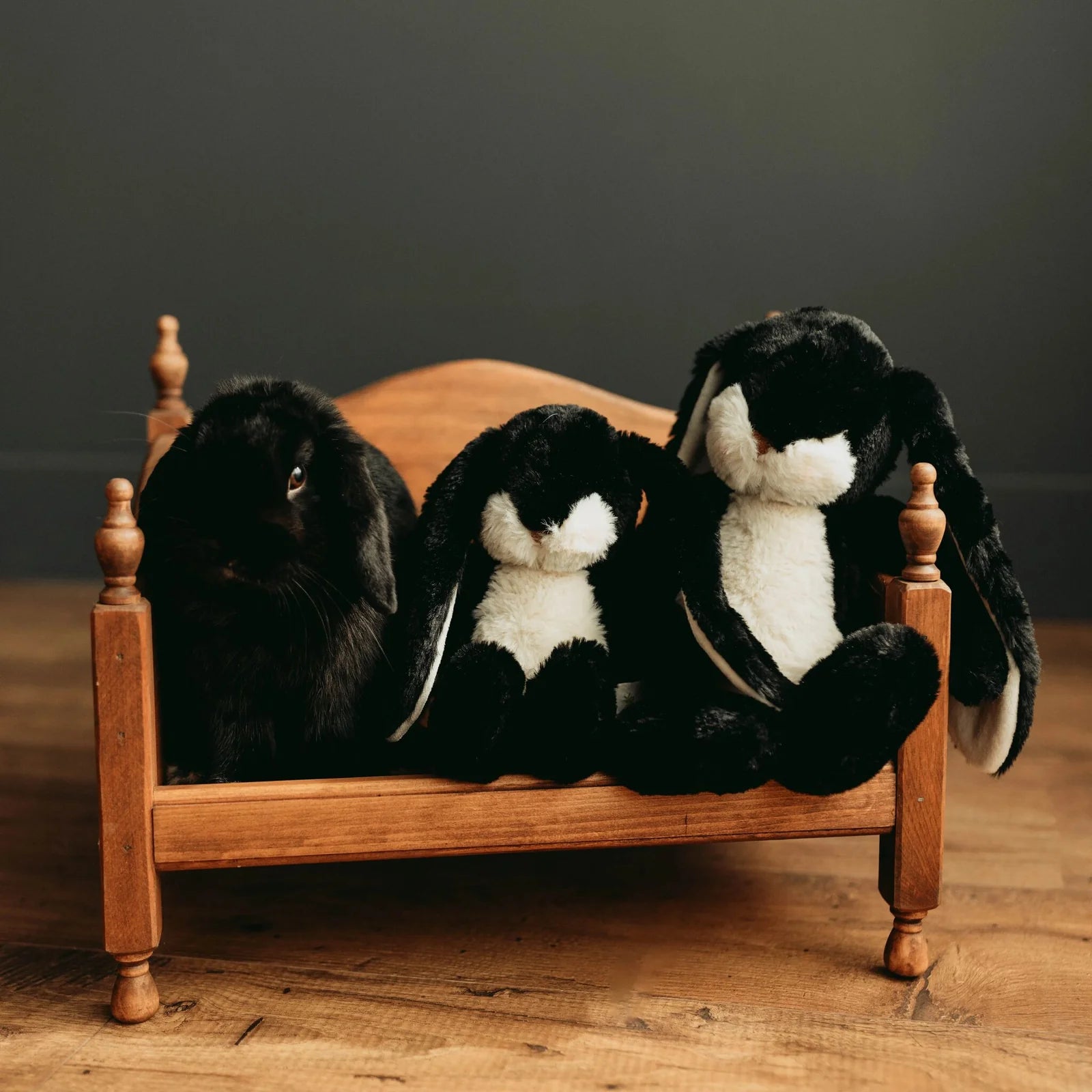 Little Nibble 12" Bunnie