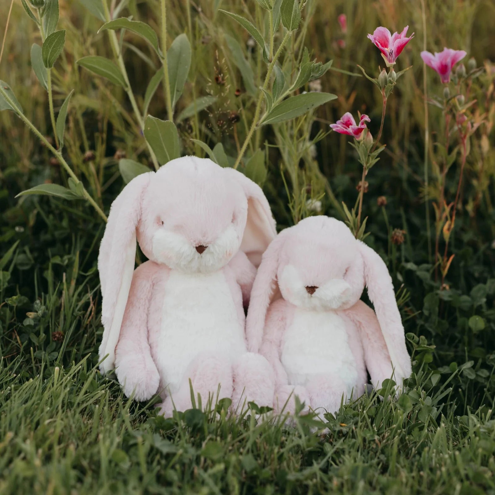 Sweet 16" Floppy Nibble Bunny