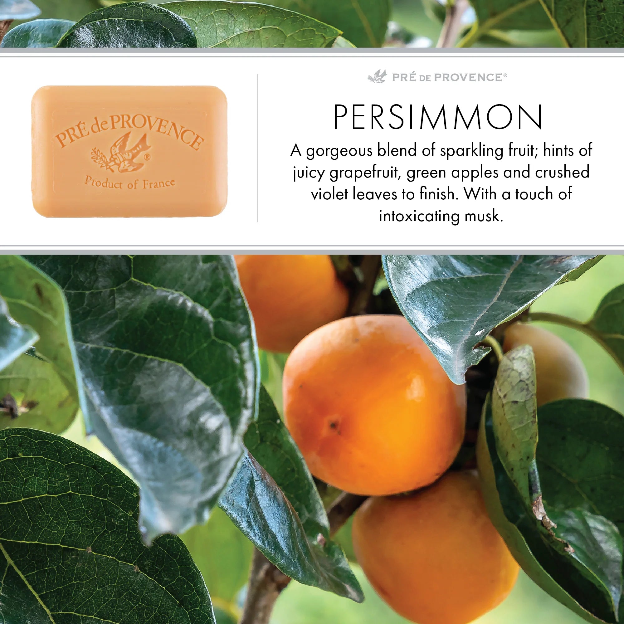 Pre De Provence Soap - Persimmon
