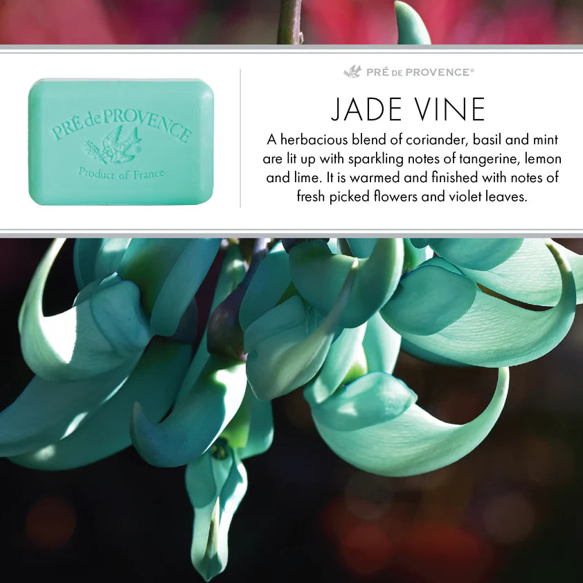 Pre de Provence Soap - Jade Vine