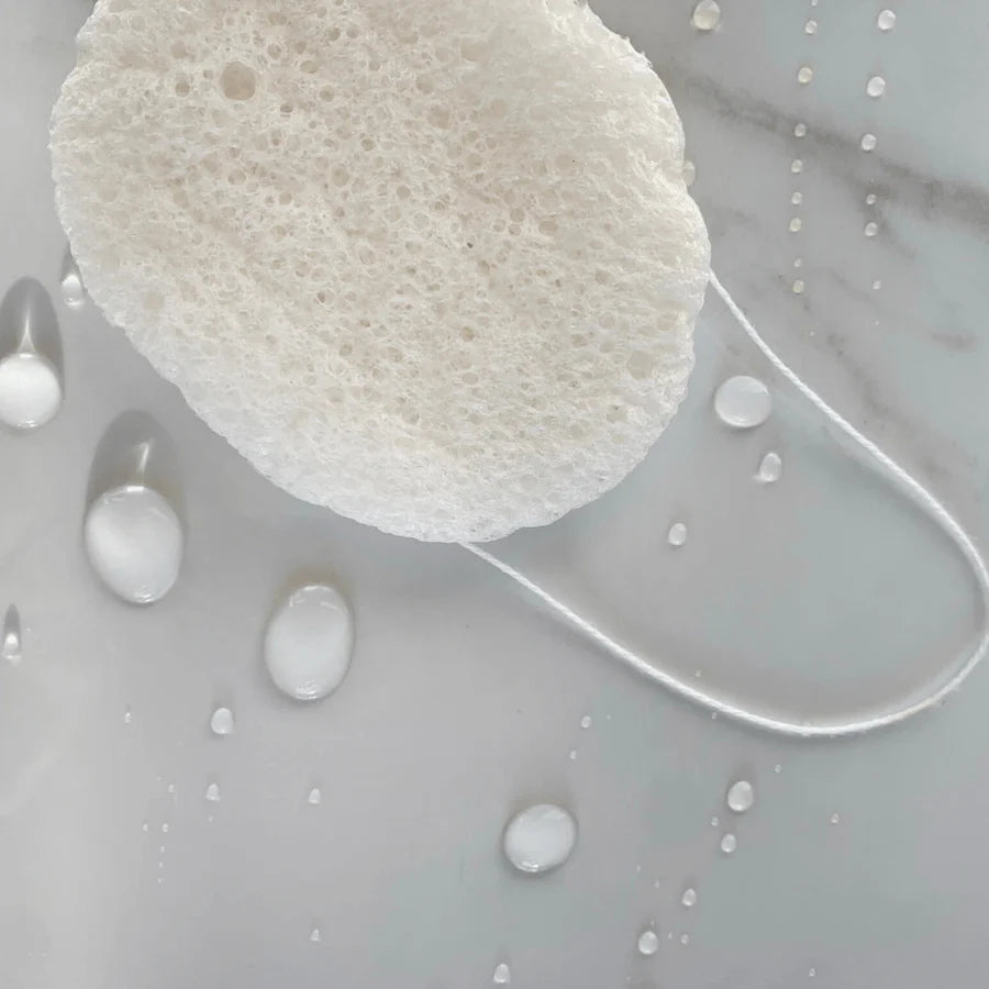 Wild Pier Konjac Face Sponge