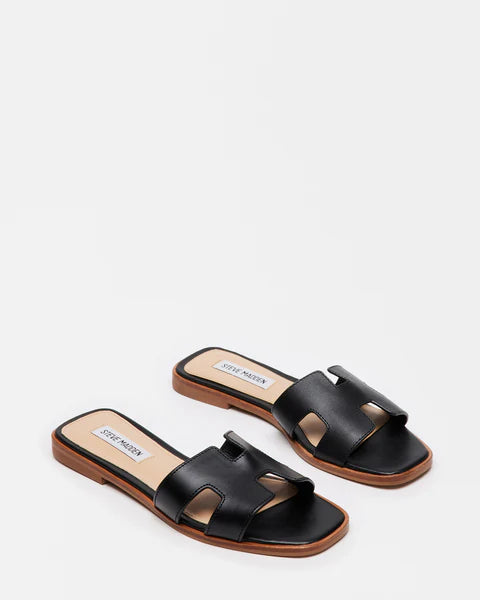Hadyn Flats