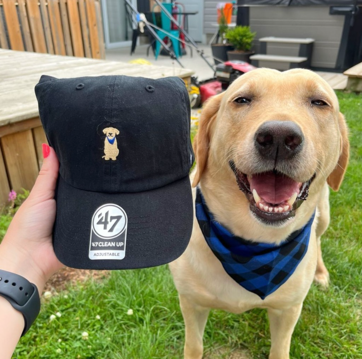 Yellow Lab '47 Clean Up Ball Cap