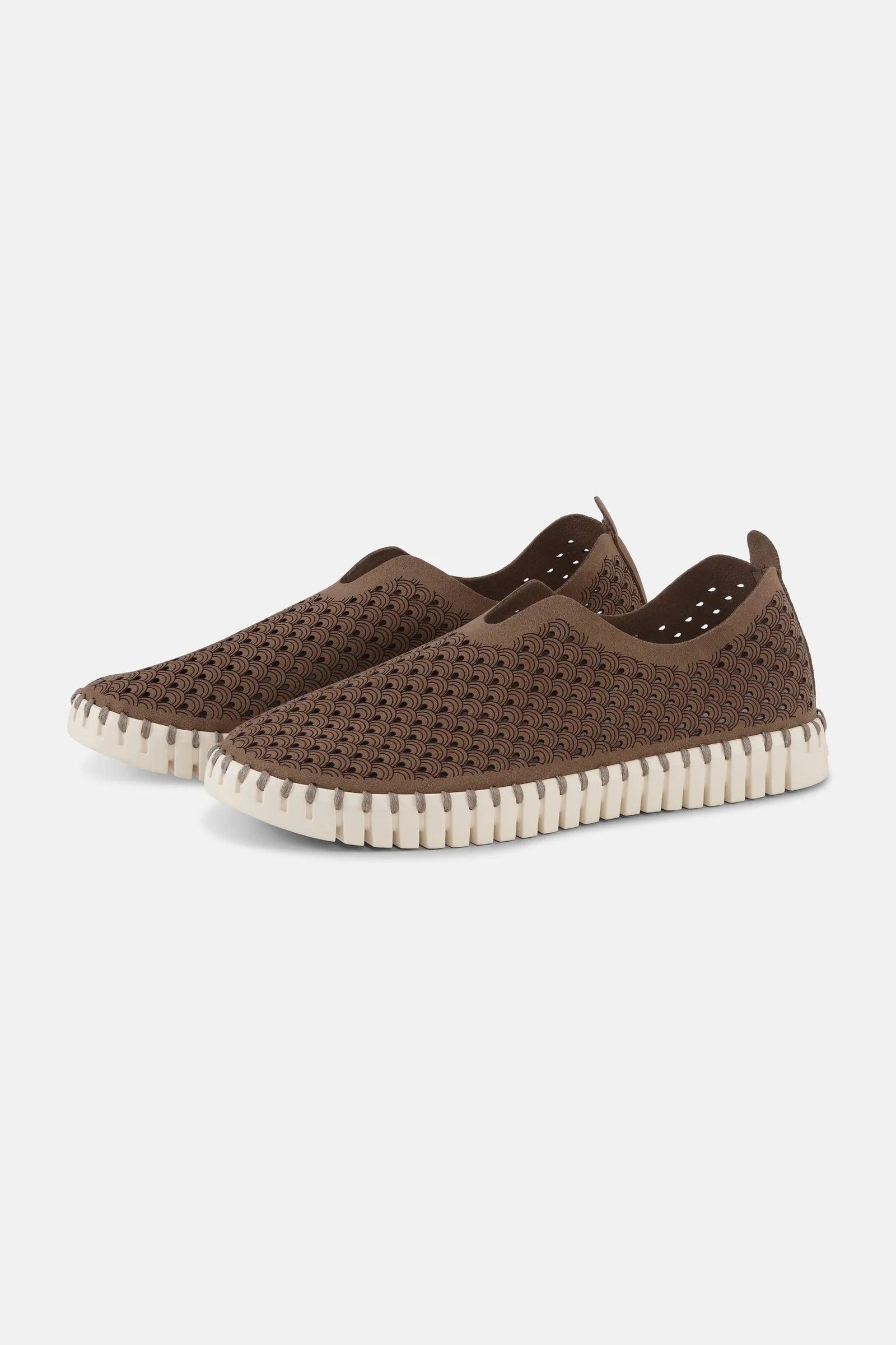 TULIP Flats -TULIP139