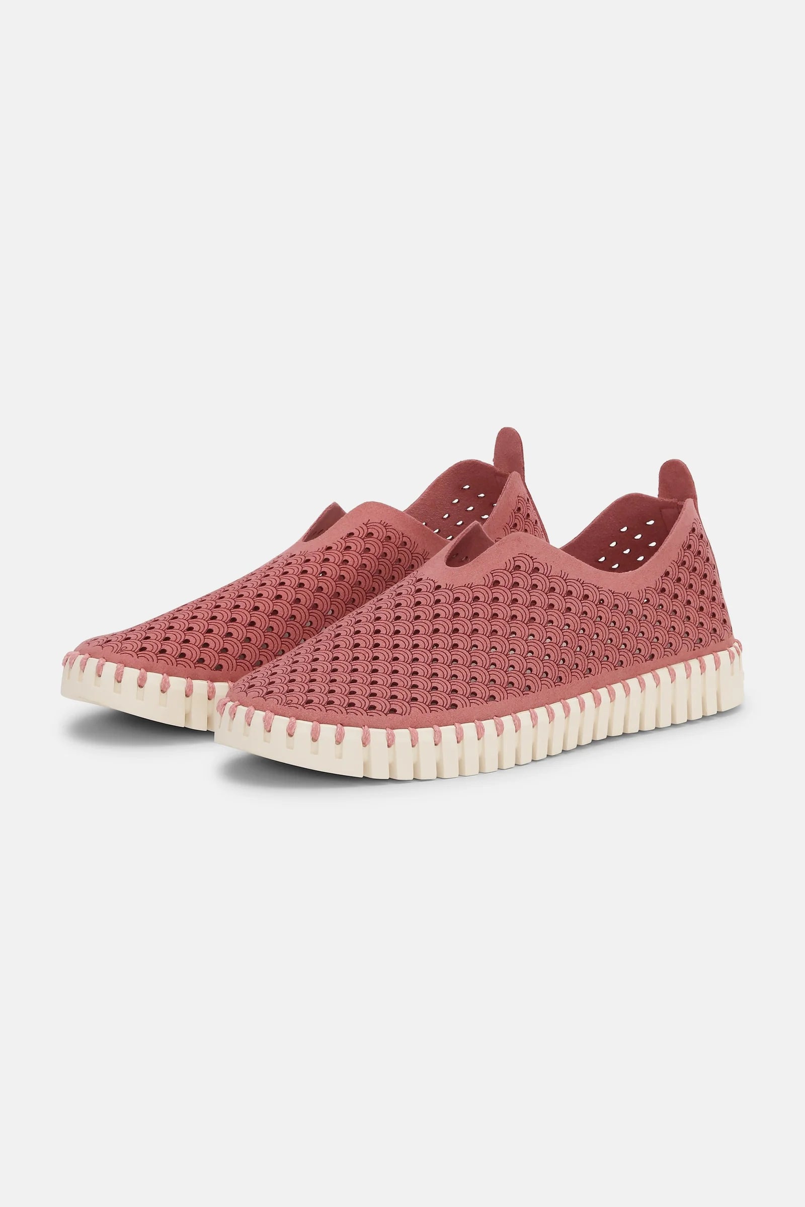 TULIP Flats -TULIP139