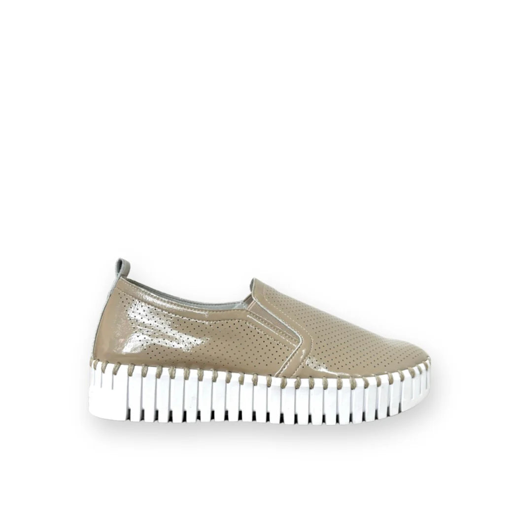 Tulip C1010 Platform Gloss