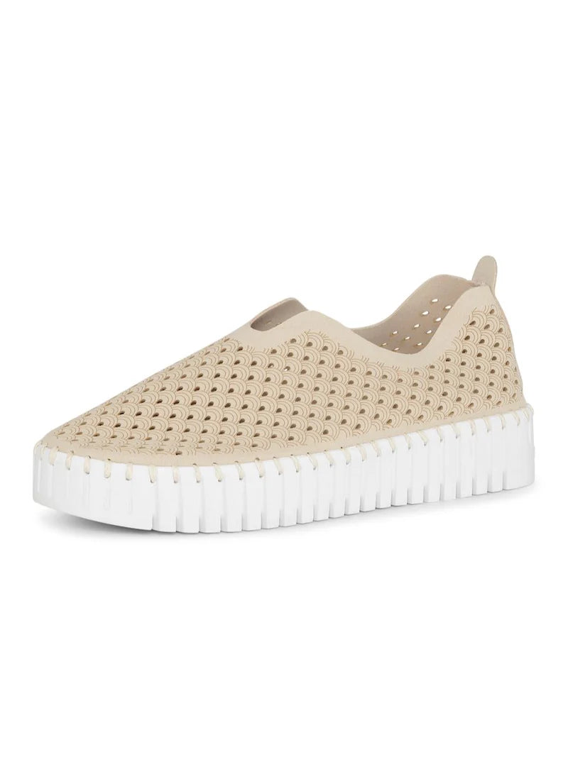 TULIP 3373 - Platform