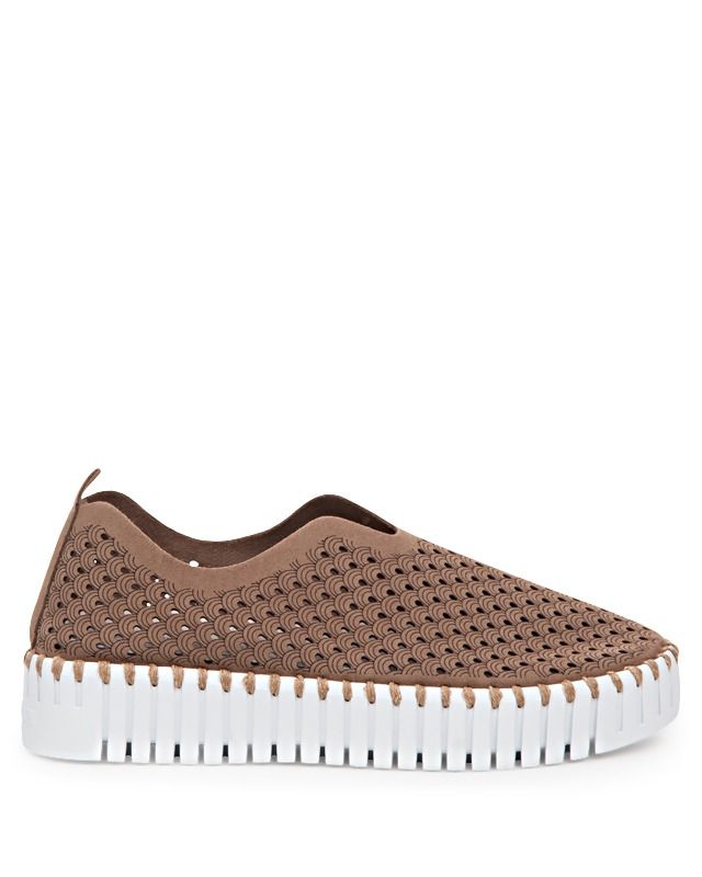 TULIP 3373 - Platform