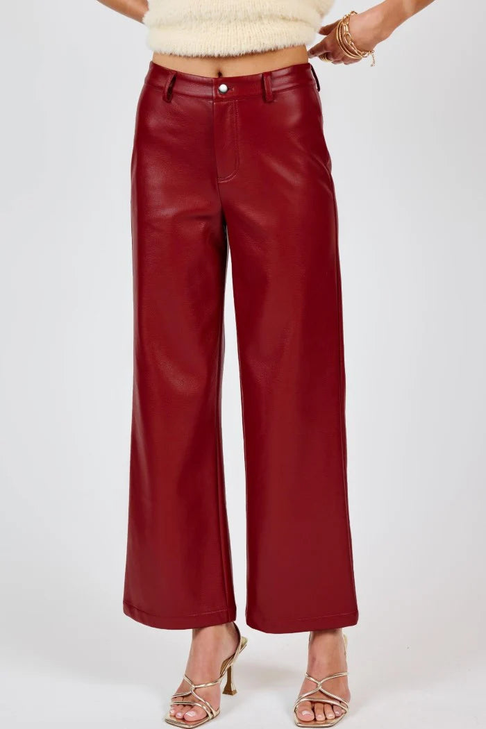 Night Vision Faux Leather Pants