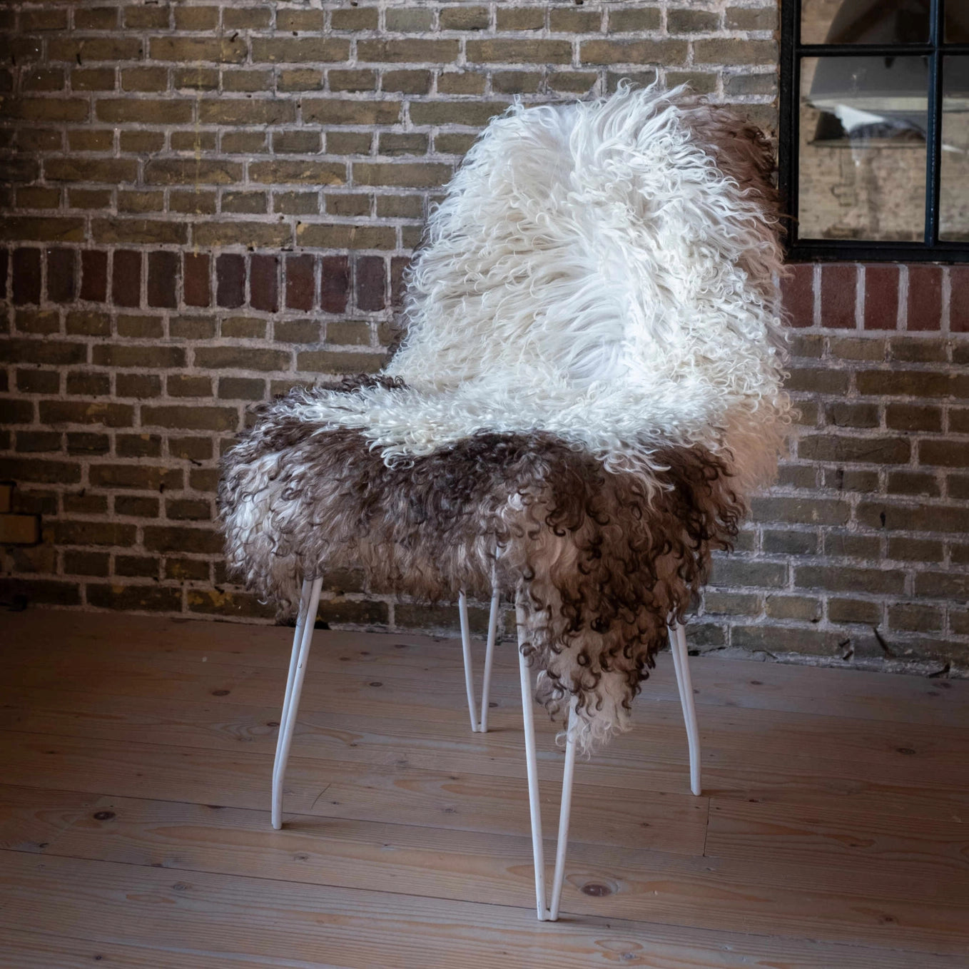 Curly Austrian Sheepskin