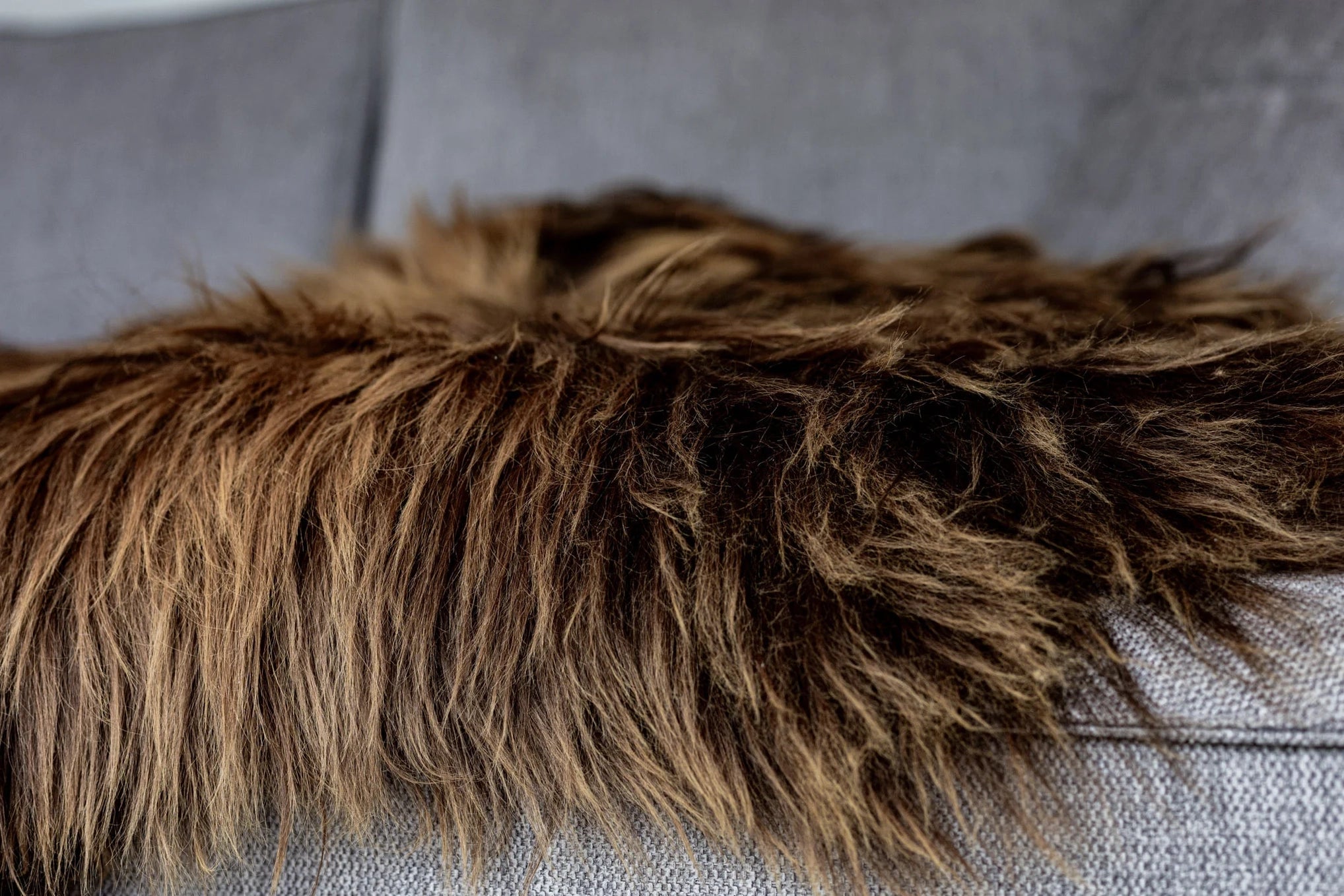 Icelandic Sheepskin | Natural Brown