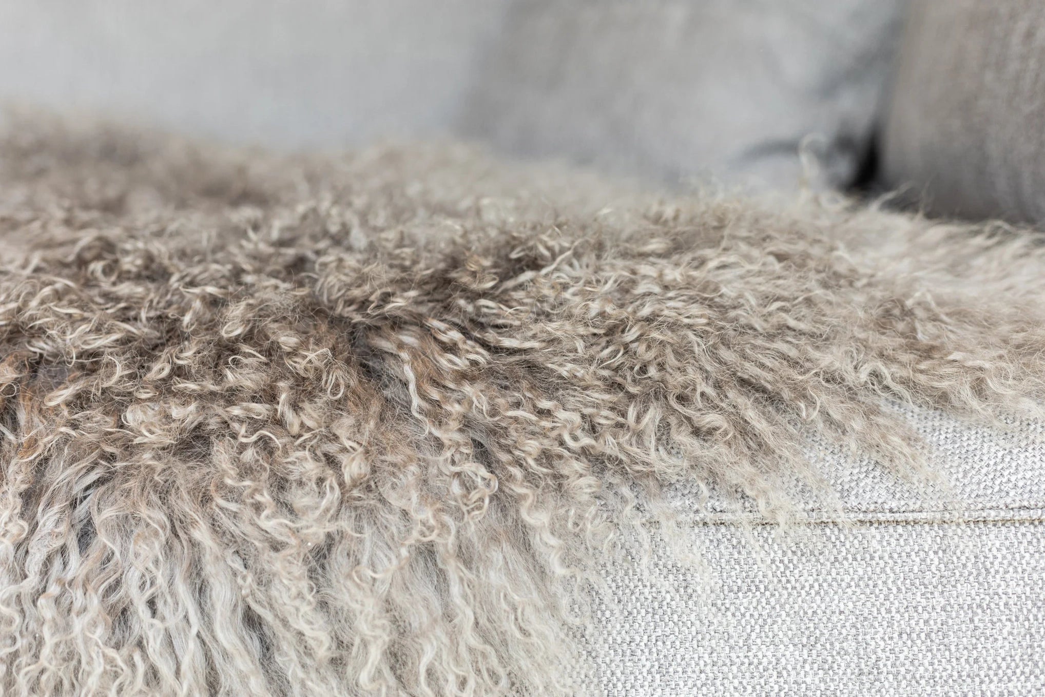 Tibetan Curly Sheepskin Rug