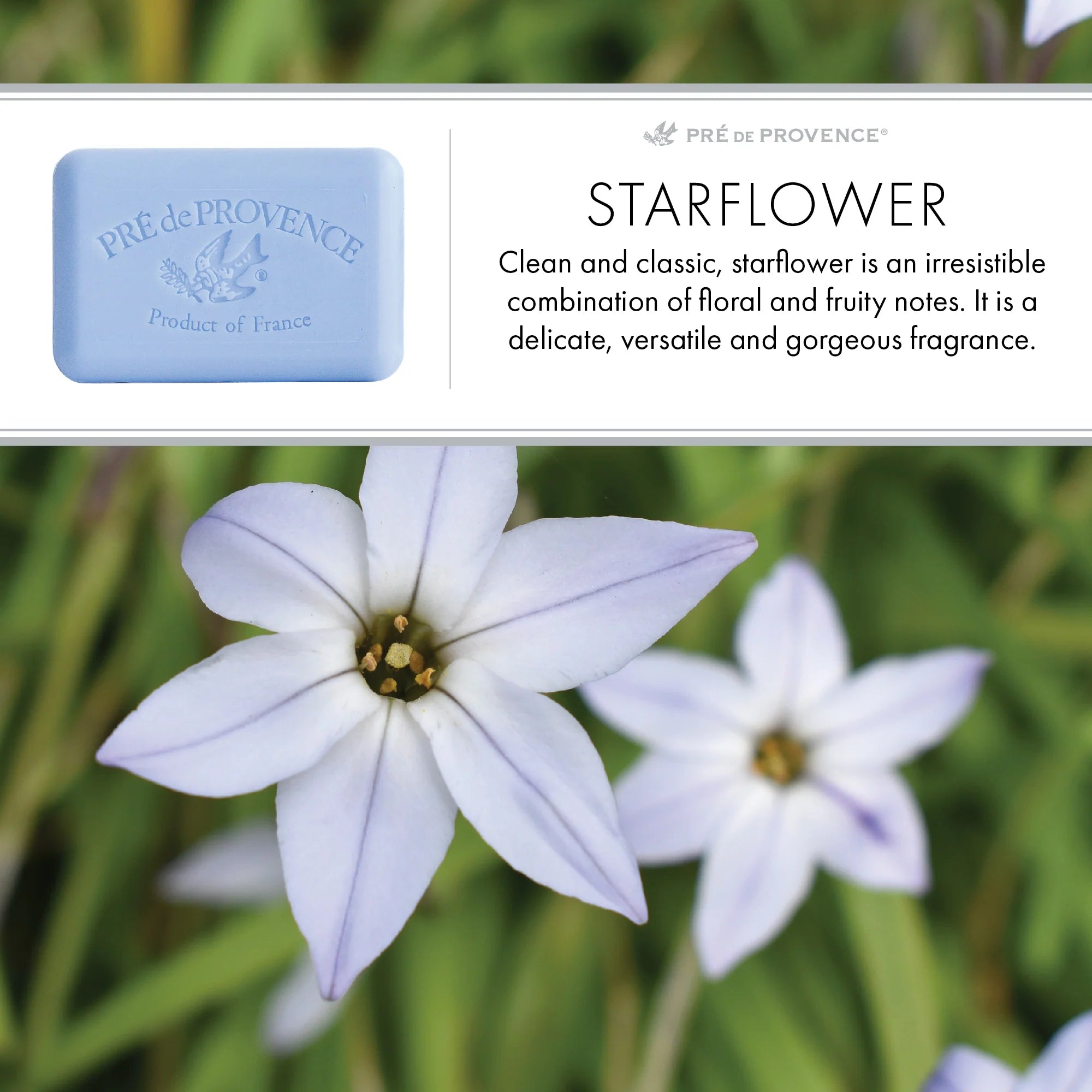 Pre De Provence Soap - Starflower