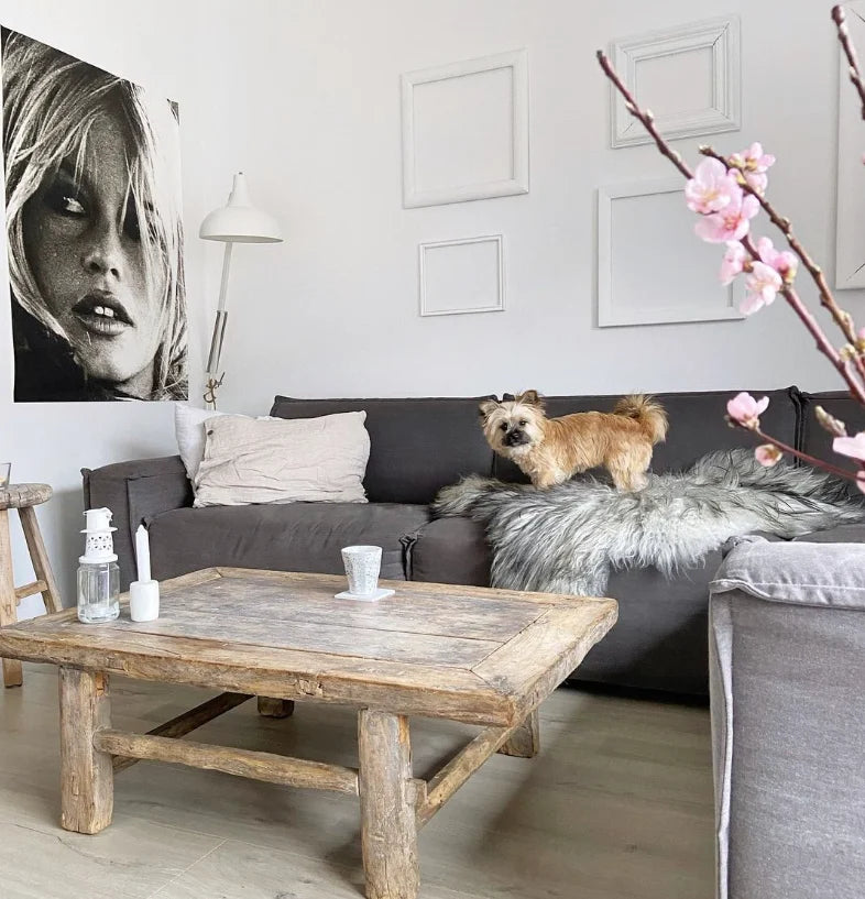 Icelandic Sheepskin | Natural Gray | Long Wool