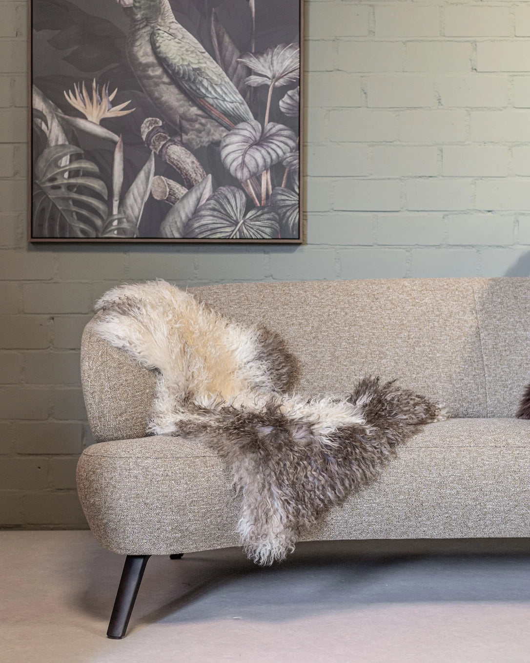Curly Austrian Sheepskin