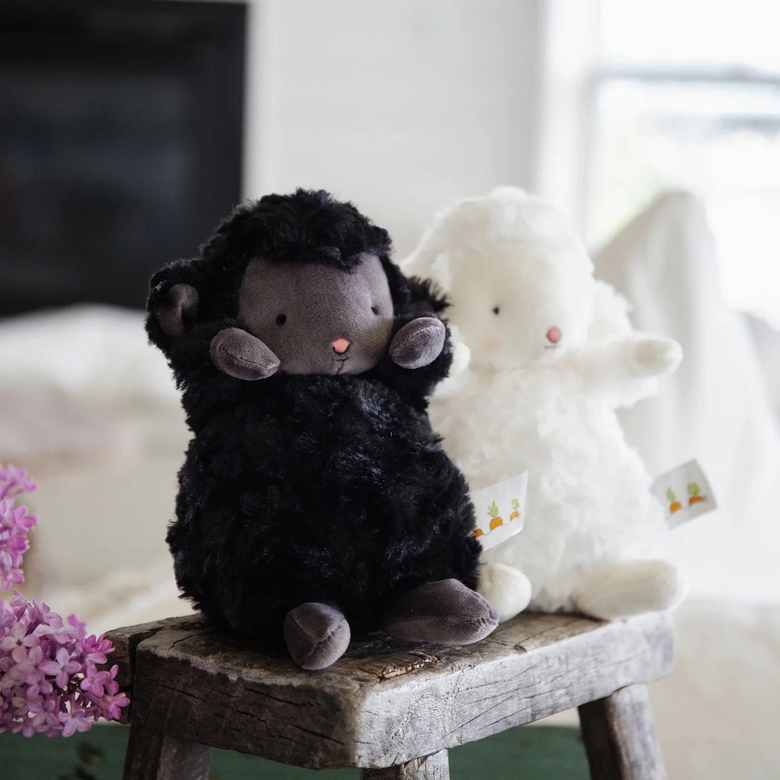 Wee Kiddo the Little Black Lamb