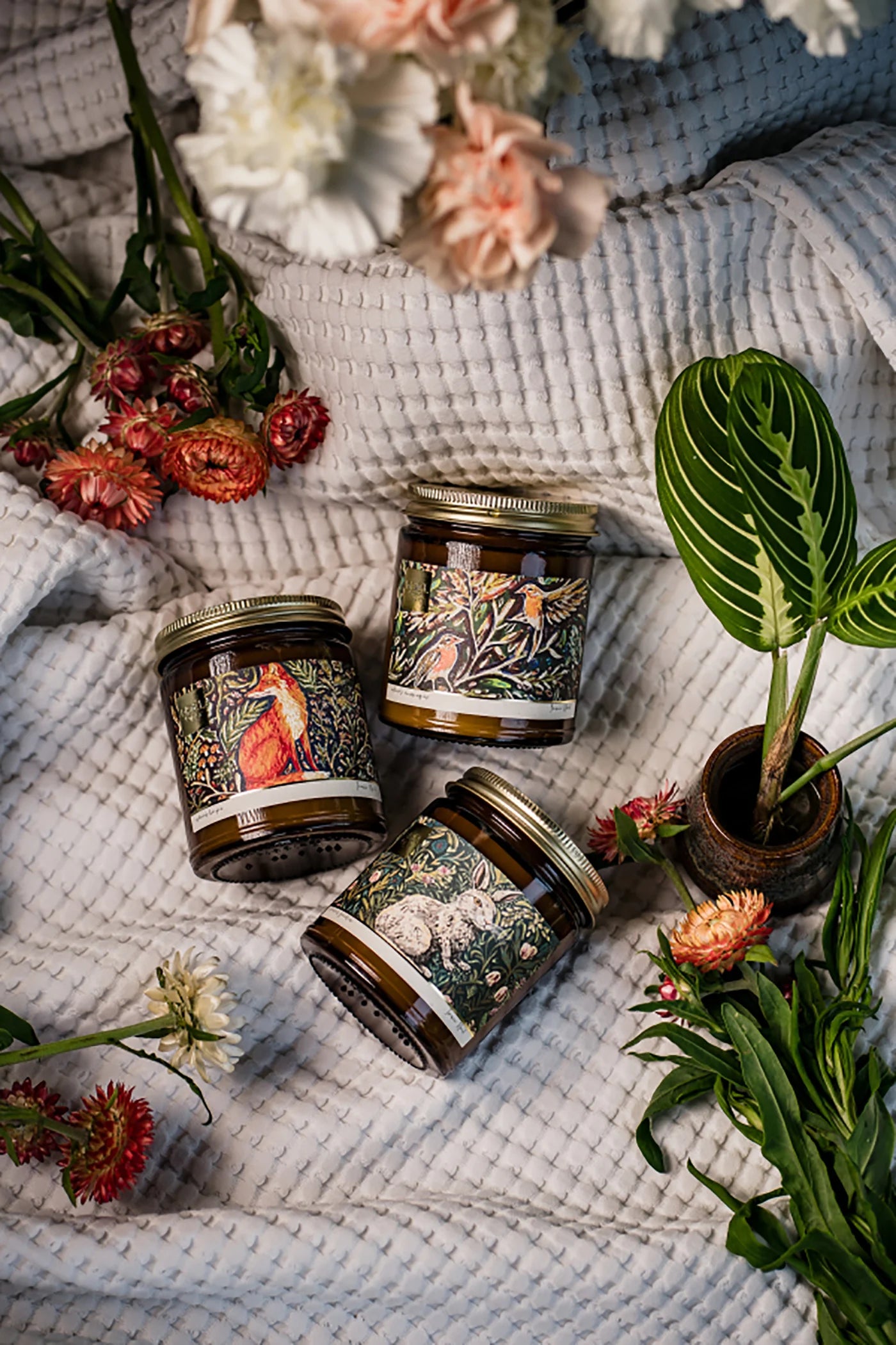 Noel&Co Ostara's Collections