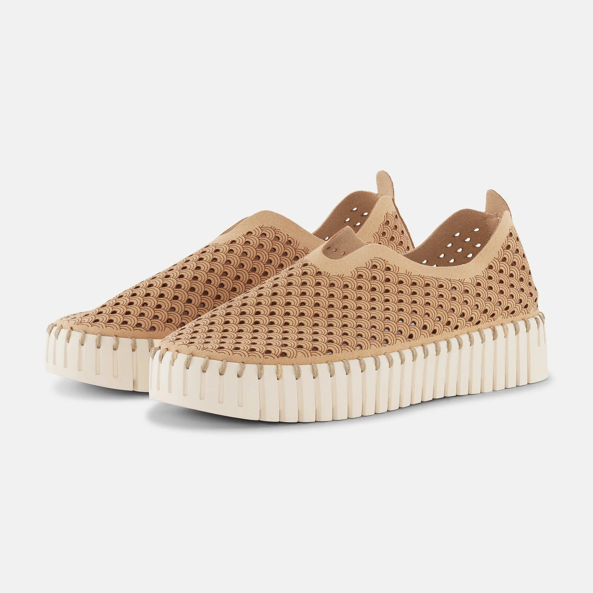 TULIP 3373 - Platform