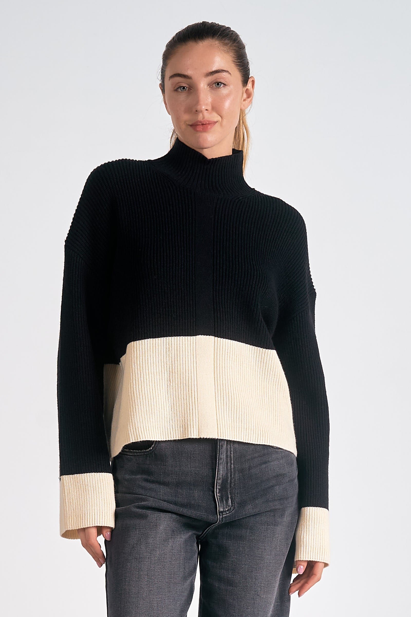 Elan Colour Block Turtleneck Sweater