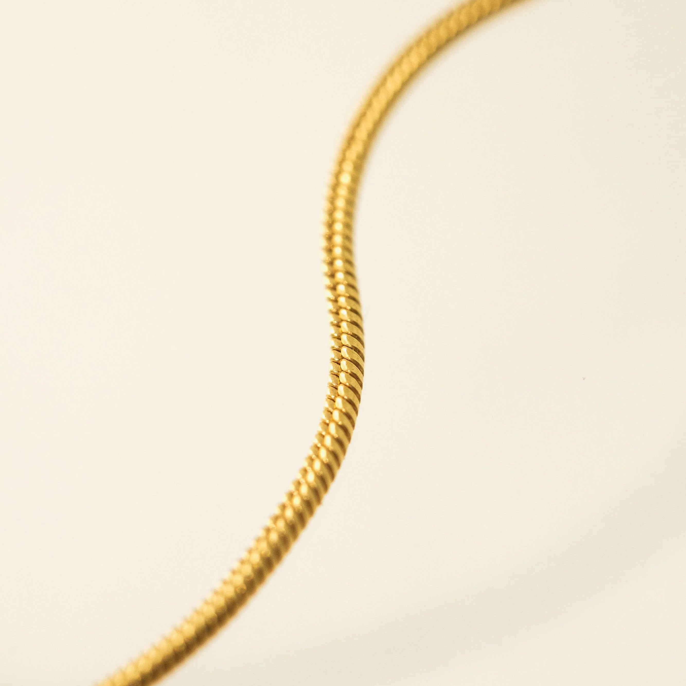 Snake Chain Bracelet