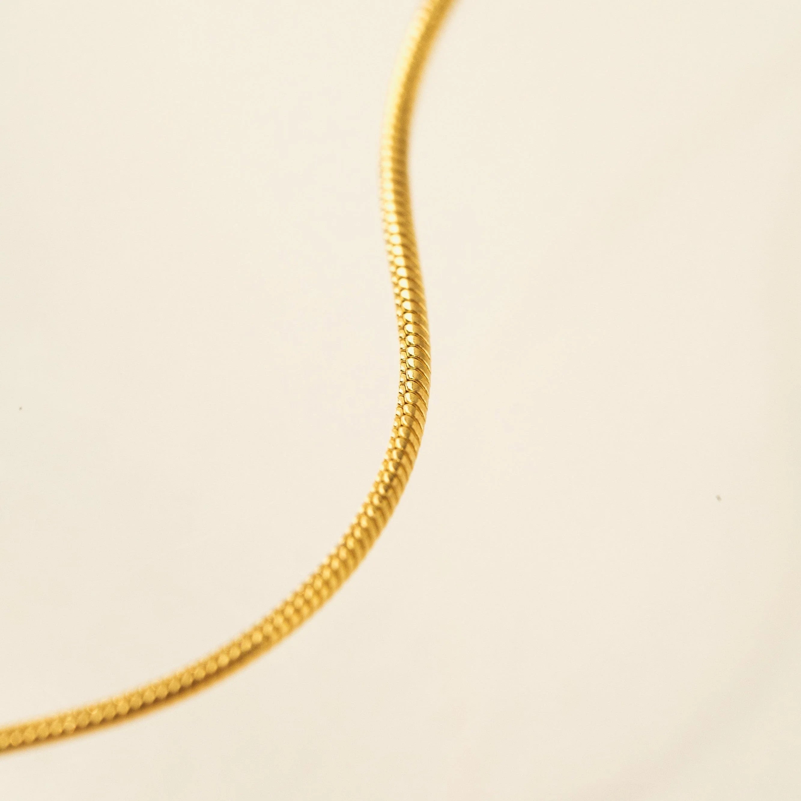 Snake Chain Gold Filled Necklace
