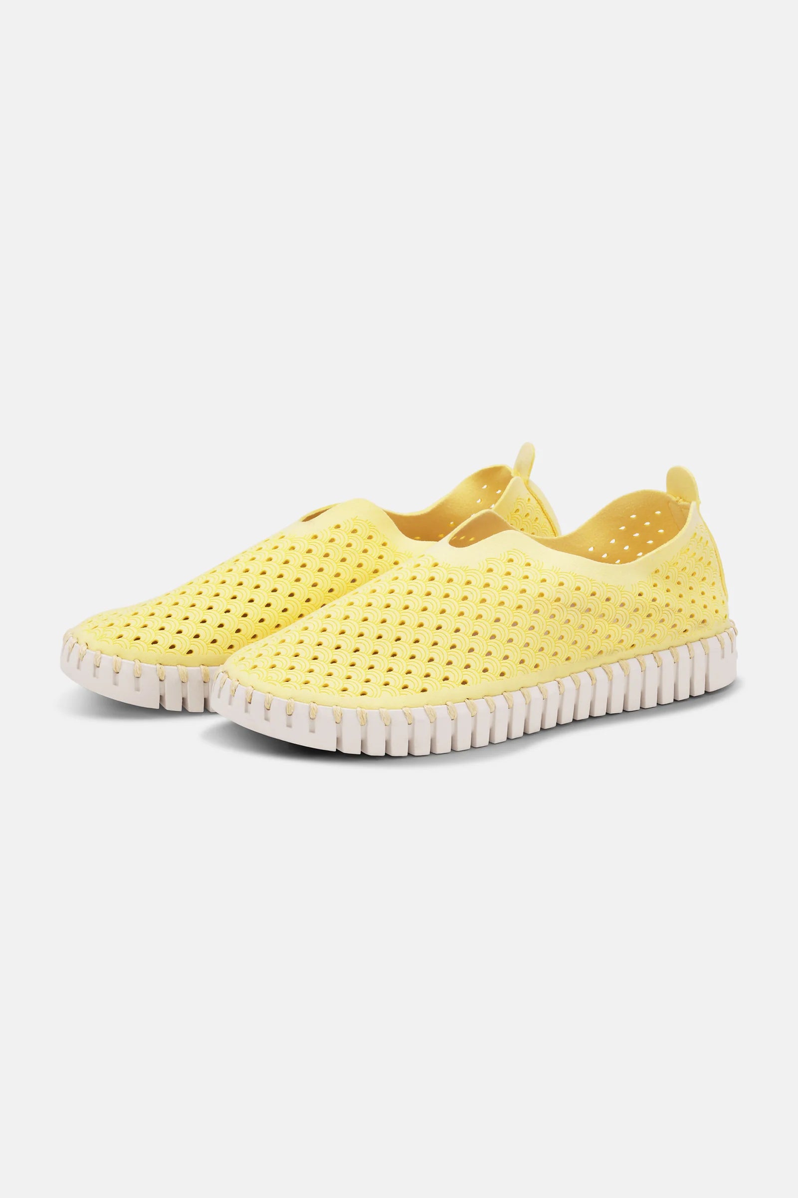 TULIP Flats -TULIP139