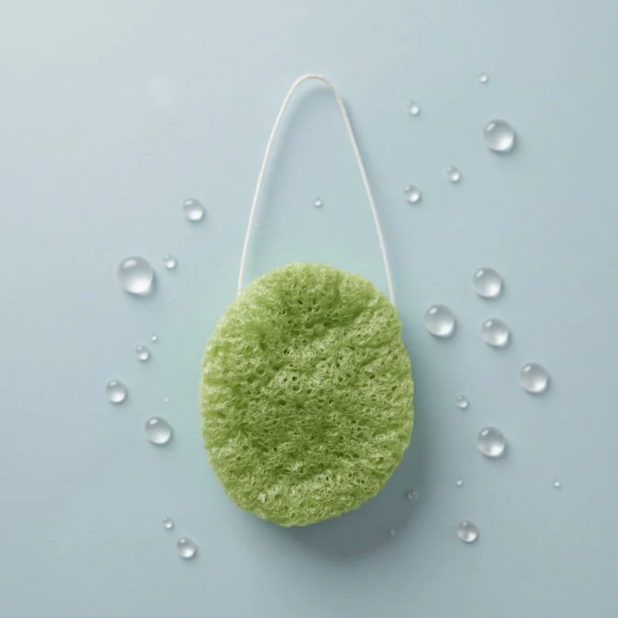Wild Pier Aloe Konjac Sponge