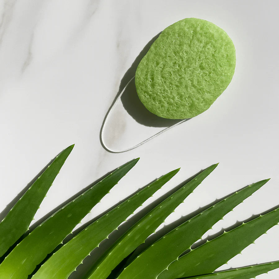 Wild Pier Aloe Konjac Sponge