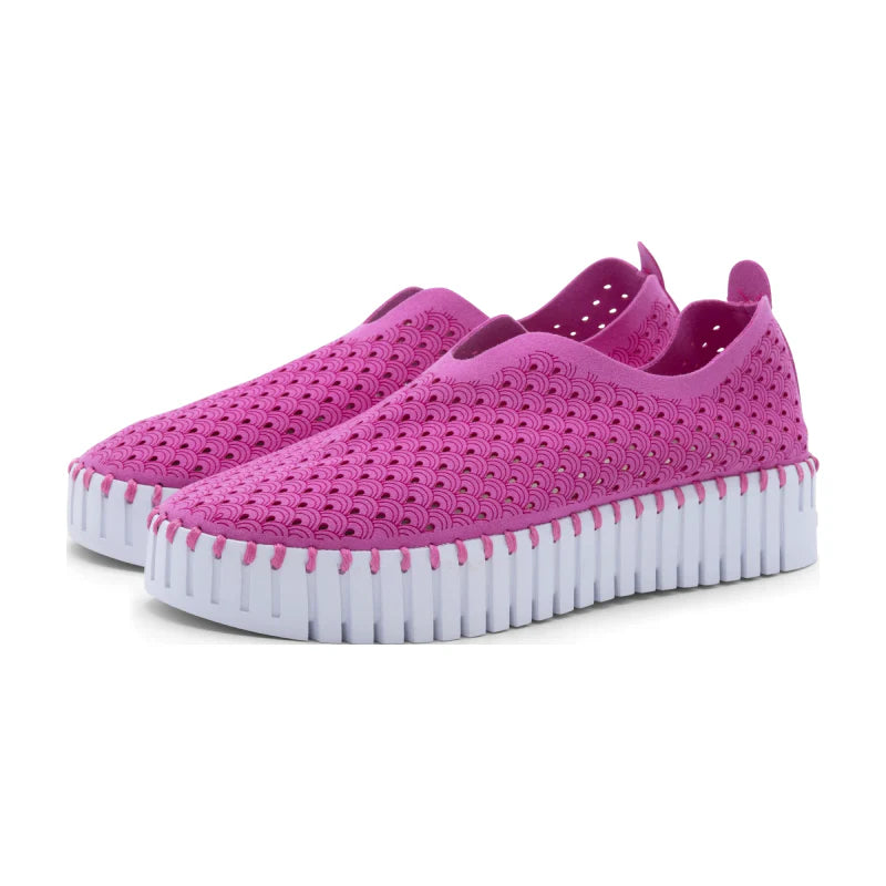 TULIP 3373 - Platform